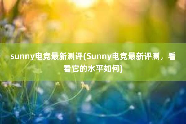 sunny电竞最新测评(Sunny电竞最新评测，看看它的水平如何)