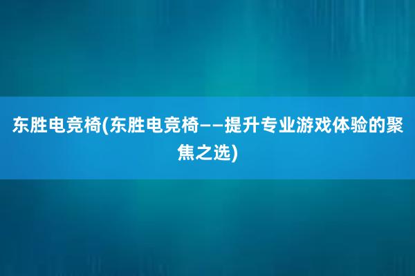 东胜电竞椅(东胜电竞椅——提升专业游戏体验的聚焦之选)