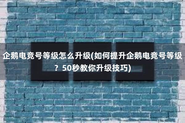 企鹅电竞号等级怎么升级(如何提升企鹅电竞号等级？50秒教你升级技巧)