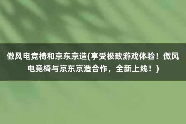 傲风电竞椅和京东京造(享受极致游戏体验！傲风电竞椅与京东京造合作，全新上线！)