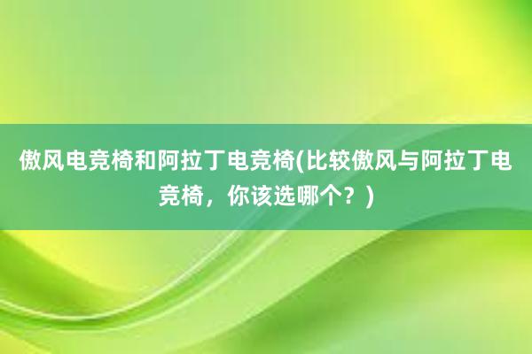 傲风电竞椅和阿拉丁电竞椅(比较傲风与阿拉丁电竞椅，你该选哪个？)