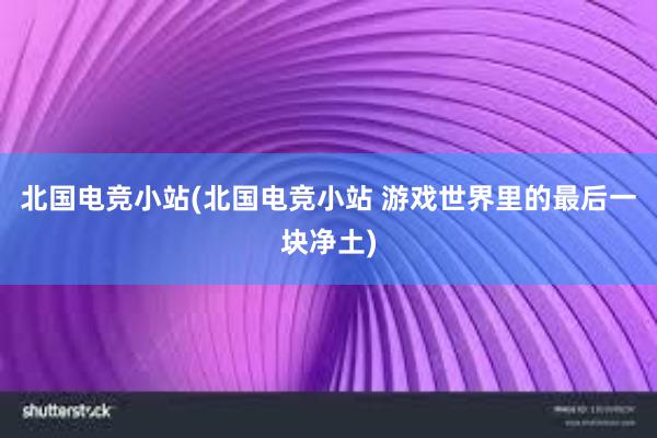 北国电竞小站(北国电竞小站 游戏世界里的最后一块净土)