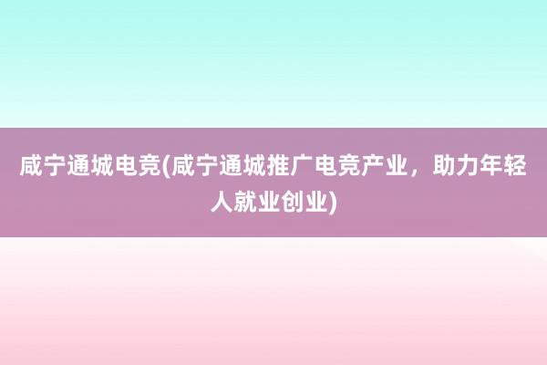 咸宁通城电竞(咸宁通城推广电竞产业，助力年轻人就业创业)