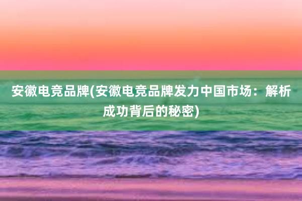 安徽电竞品牌(安徽电竞品牌发力中国市场：解析成功背后的秘密)