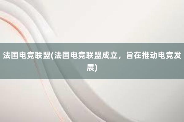 法国电竞联盟(法国电竞联盟成立，旨在推动电竞发展)