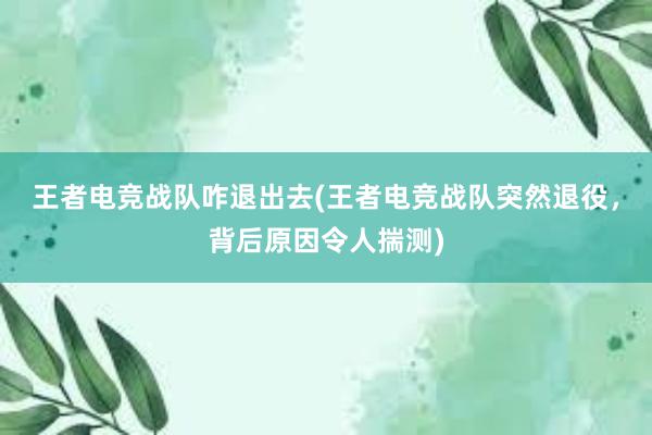 王者电竞战队咋退出去(王者电竞战队突然退役，背后原因令人揣测)