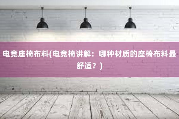 电竞座椅布料(电竞椅讲解：哪种材质的座椅布料最舒适？)