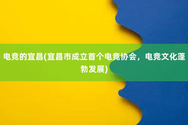 电竞的宜昌(宜昌市成立首个电竞协会，电竞文化蓬勃发展)