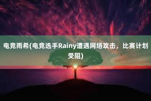 电竞雨希(电竞选手Rainy遭遇网络攻击，比赛计划受阻)