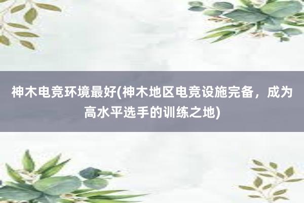 神木电竞环境最好(神木地区电竞设施完备，成为高水平选手的训练之地)