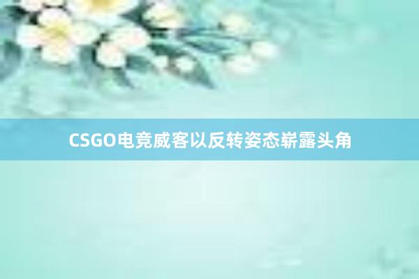 CSGO电竞威客以反转姿态崭露头角