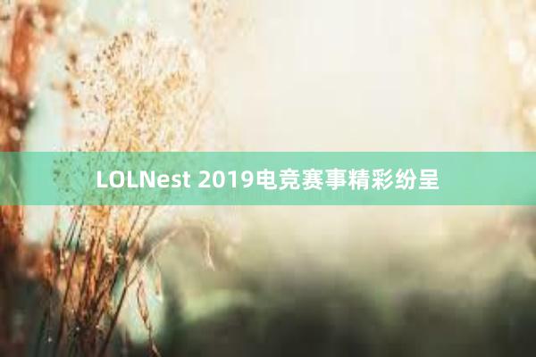 LOLNest 2019电竞赛事精彩纷呈