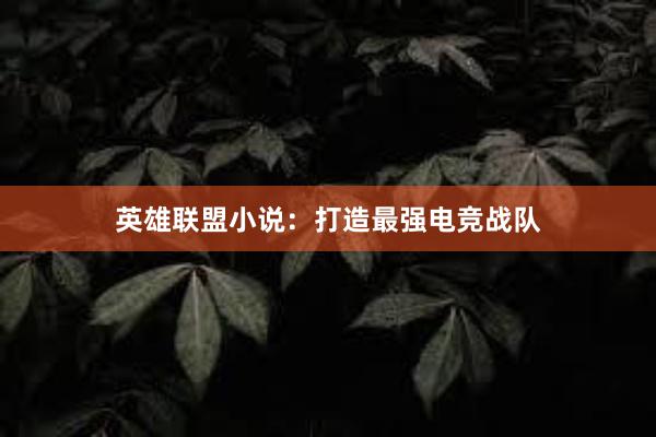 英雄联盟小说：打造最强电竞战队