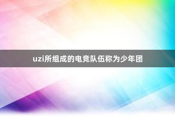 uzi所组成的电竞队伍称为少年团