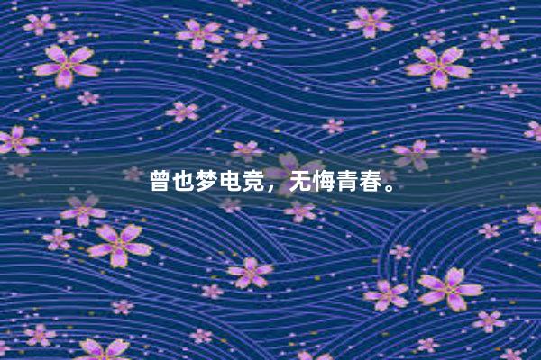 曾也梦电竞，无悔青春。