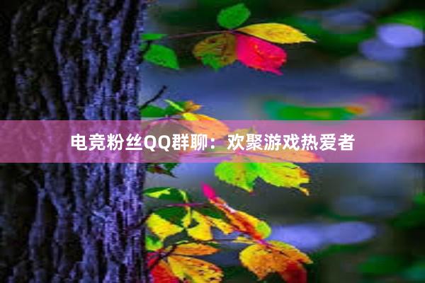 电竞粉丝QQ群聊：欢聚游戏热爱者