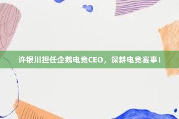 许银川担任企鹅电竞CEO，深耕电竞赛事！