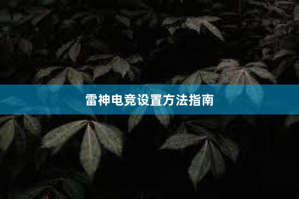 雷神电竞设置方法指南