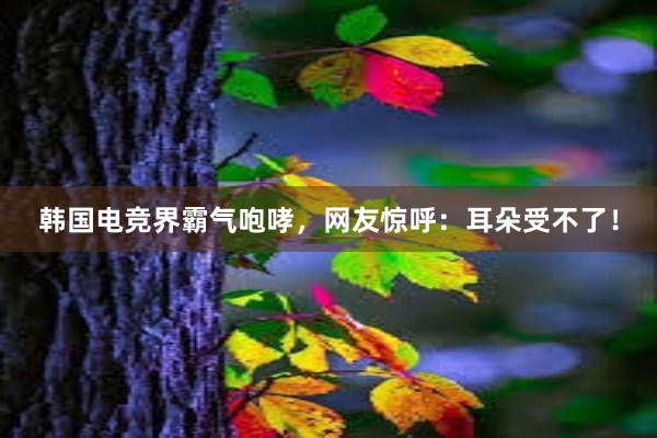 韩国电竞界霸气咆哮，网友惊呼：耳朵受不了！